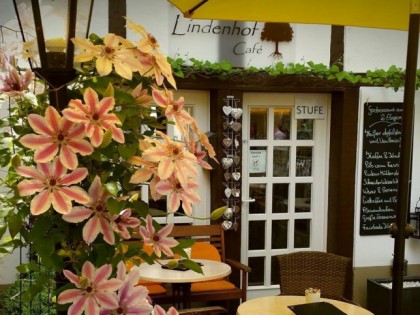 Foto:  Lindenhof